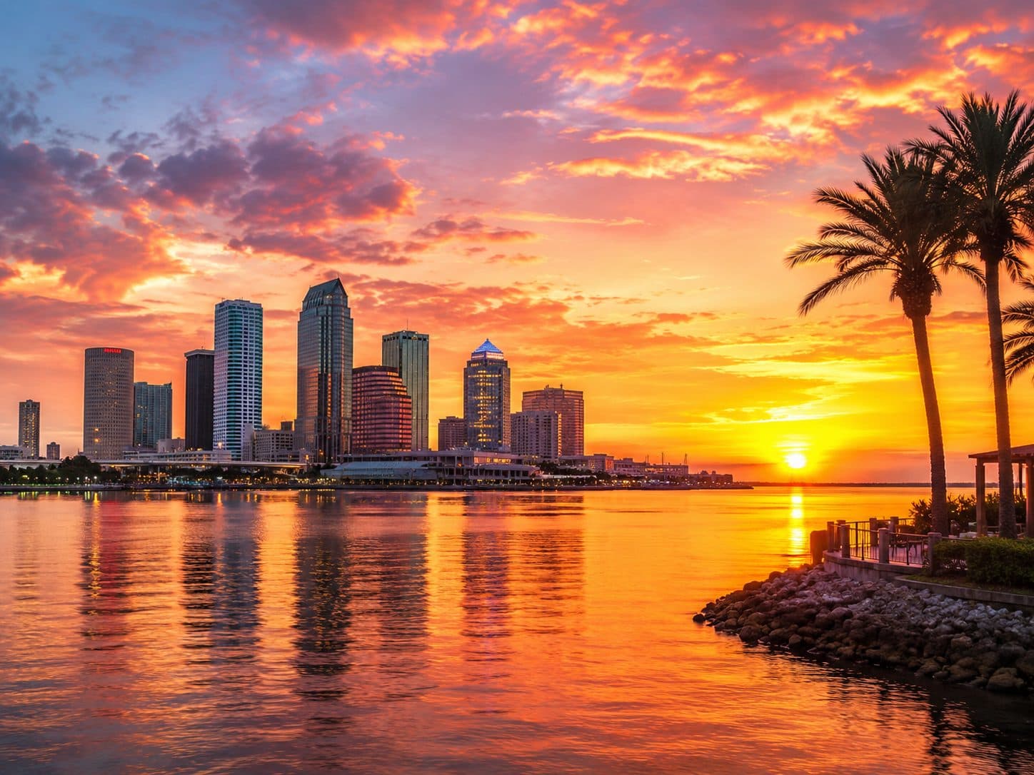 The Tampa skyline at sunset across the bay